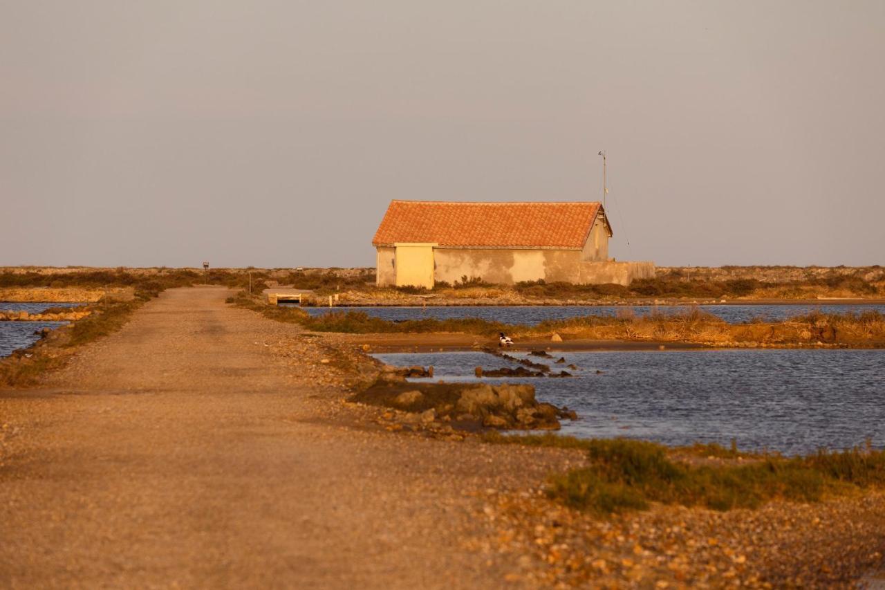 Vvf Narbonne-Plage Saint-Pierre-La-Mer Fleury  Esterno foto
